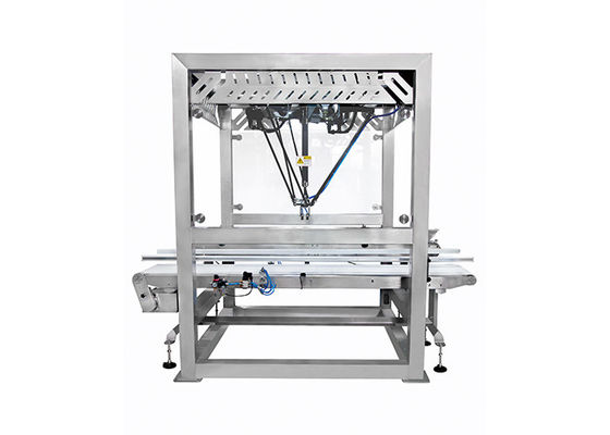 De machine van de zakverpakking met Parallelle Manipulator voor Karton