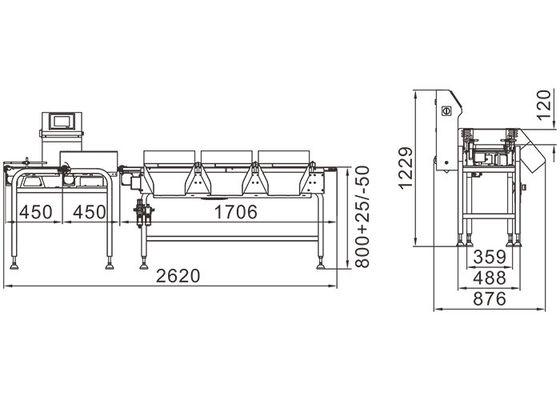 1000G Conveyor Agricultural Check Weigher Machine