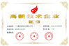 China Guangdong Kenwei Intellectualized Machinery Co., Ltd. certificaten
